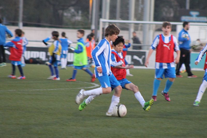 IMG_6711 IMG_6711