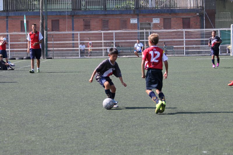 IMG_4714 IMG_4714