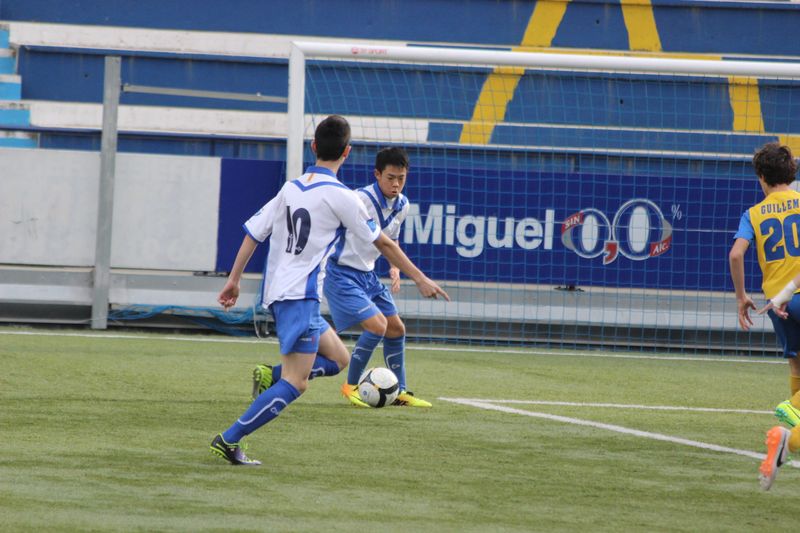 IMG_4622 IMG_4622