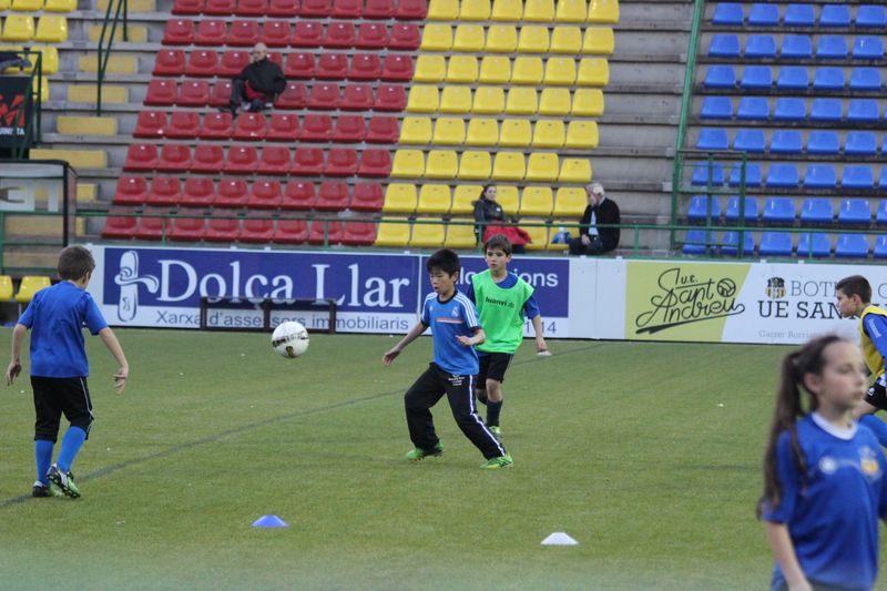 IMG_5238 IMG_5238