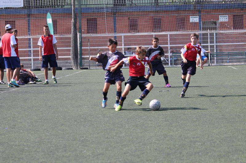 IMG_4711 IMG_4711