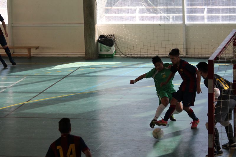 IMG_5142 IMG_5142