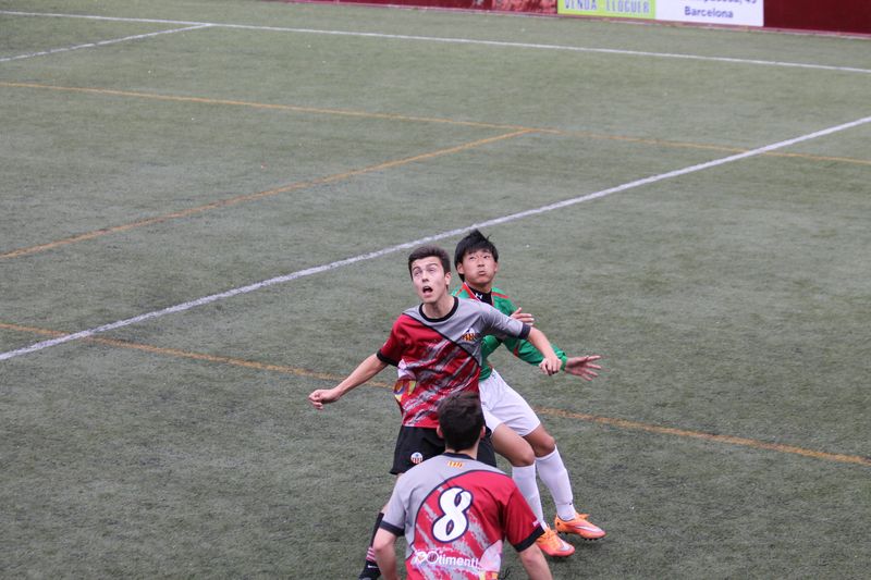 IMG_5443 IMG_5443