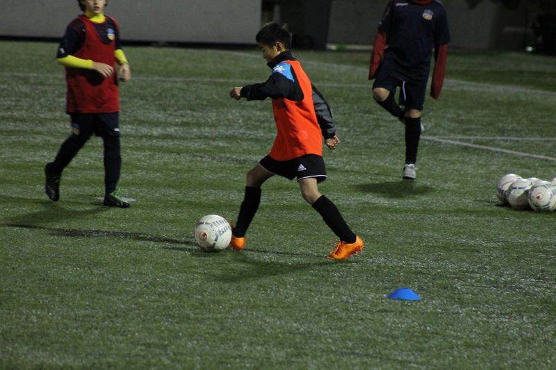 IMG_0915 IMG_0915