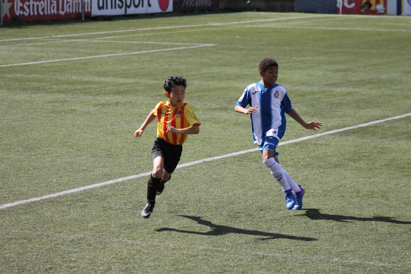 IMG_3796 IMG_3796