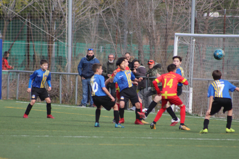 IMG_9032 IMG_9032