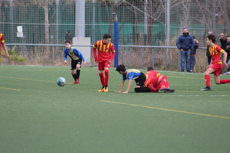 IMG_9032 IMG_9032