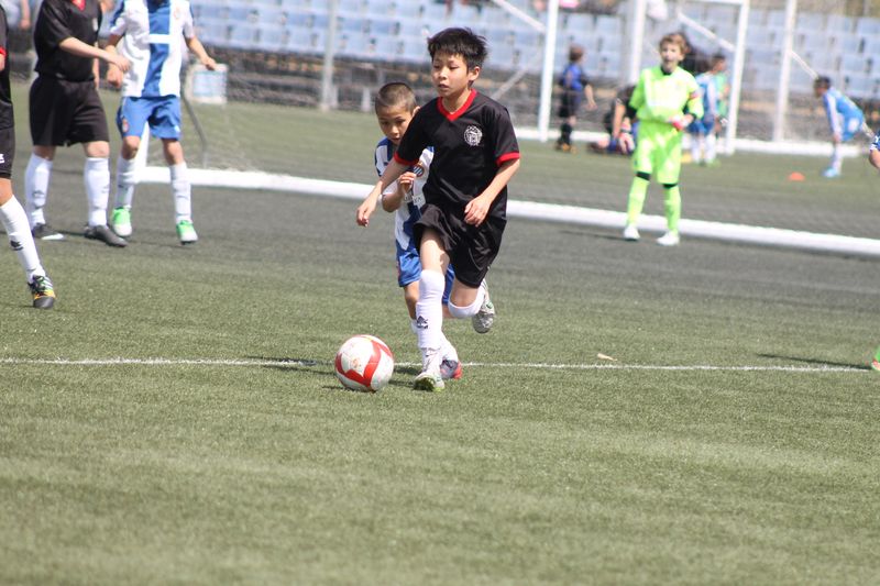 IMG_8775 IMG_8775
