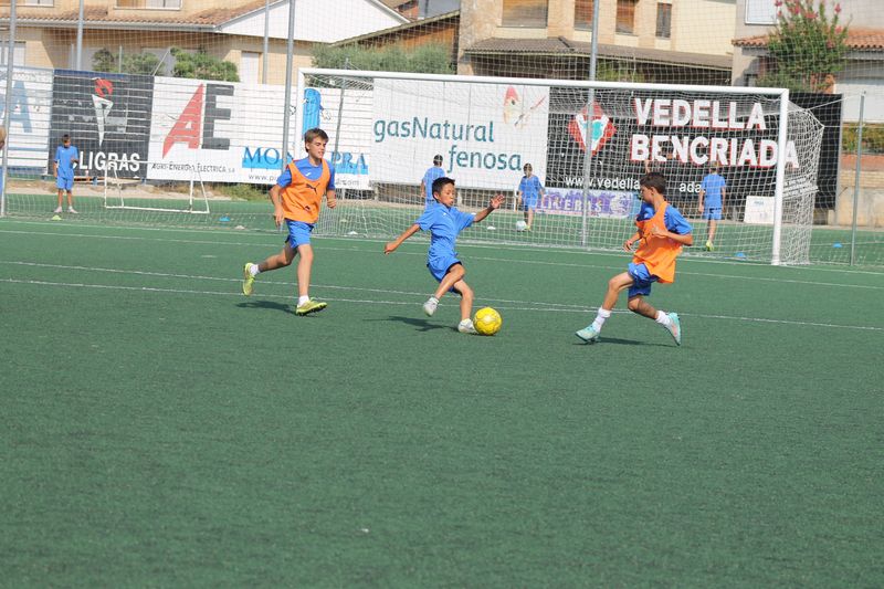 IMG_9630 IMG_9630