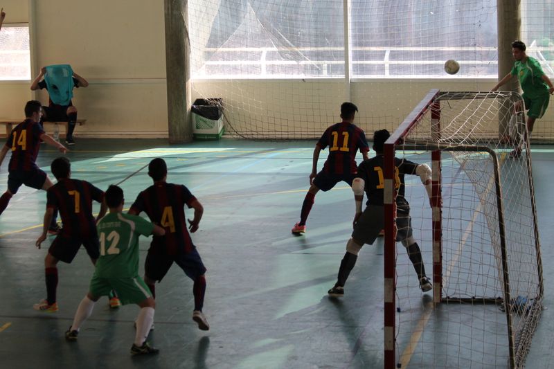 IMG_5144 IMG_5144