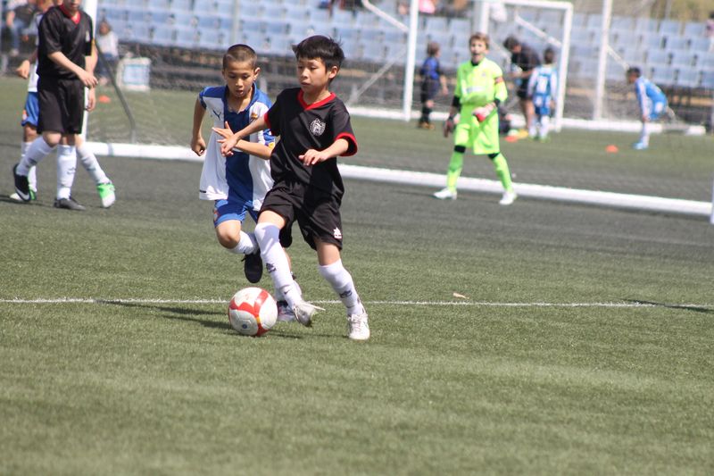 IMG_8776 IMG_8776