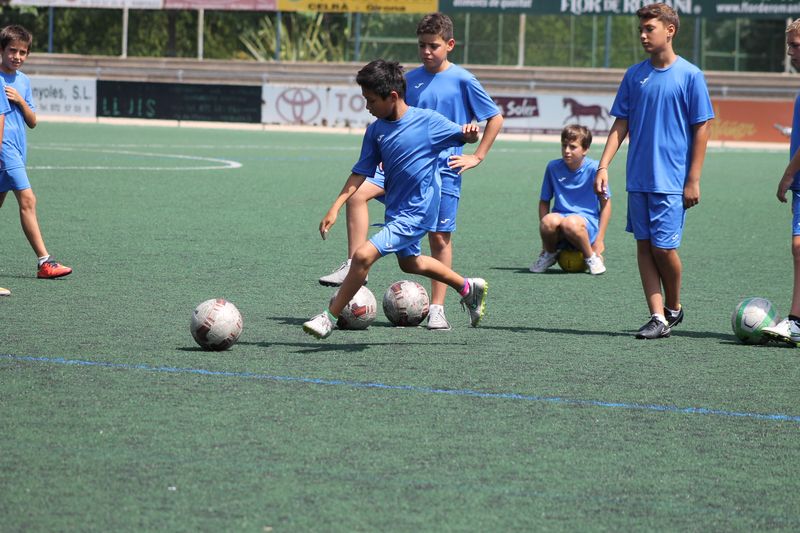 IMG_0317 IMG_0317
