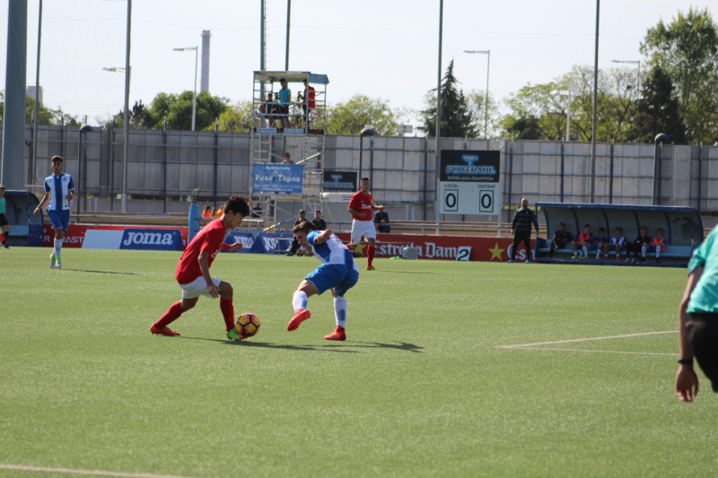 IMG_6202 IMG_6202