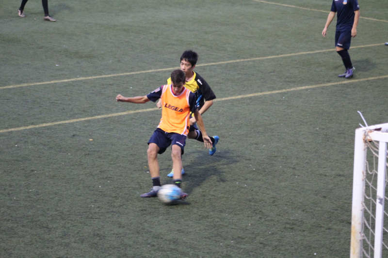 IMG_8850 IMG_8850