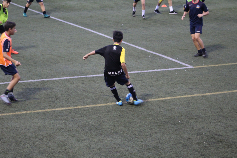 IMG_8851 IMG_8851