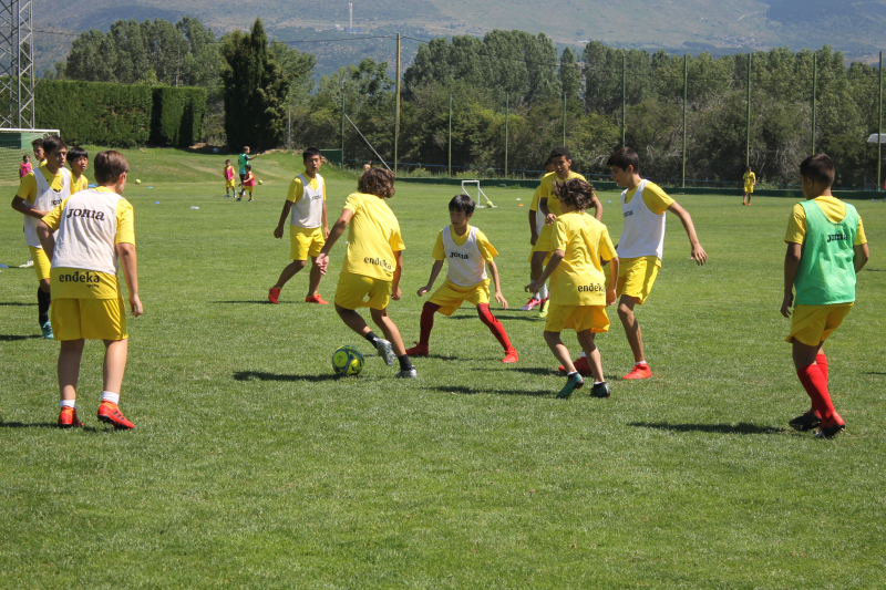 IMG_2112 IMG_2112
