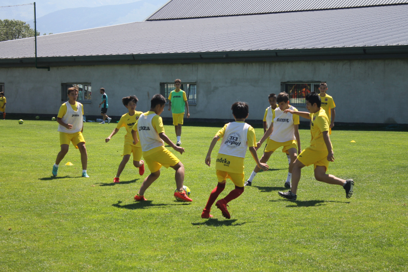 IMG_2131 IMG_2131